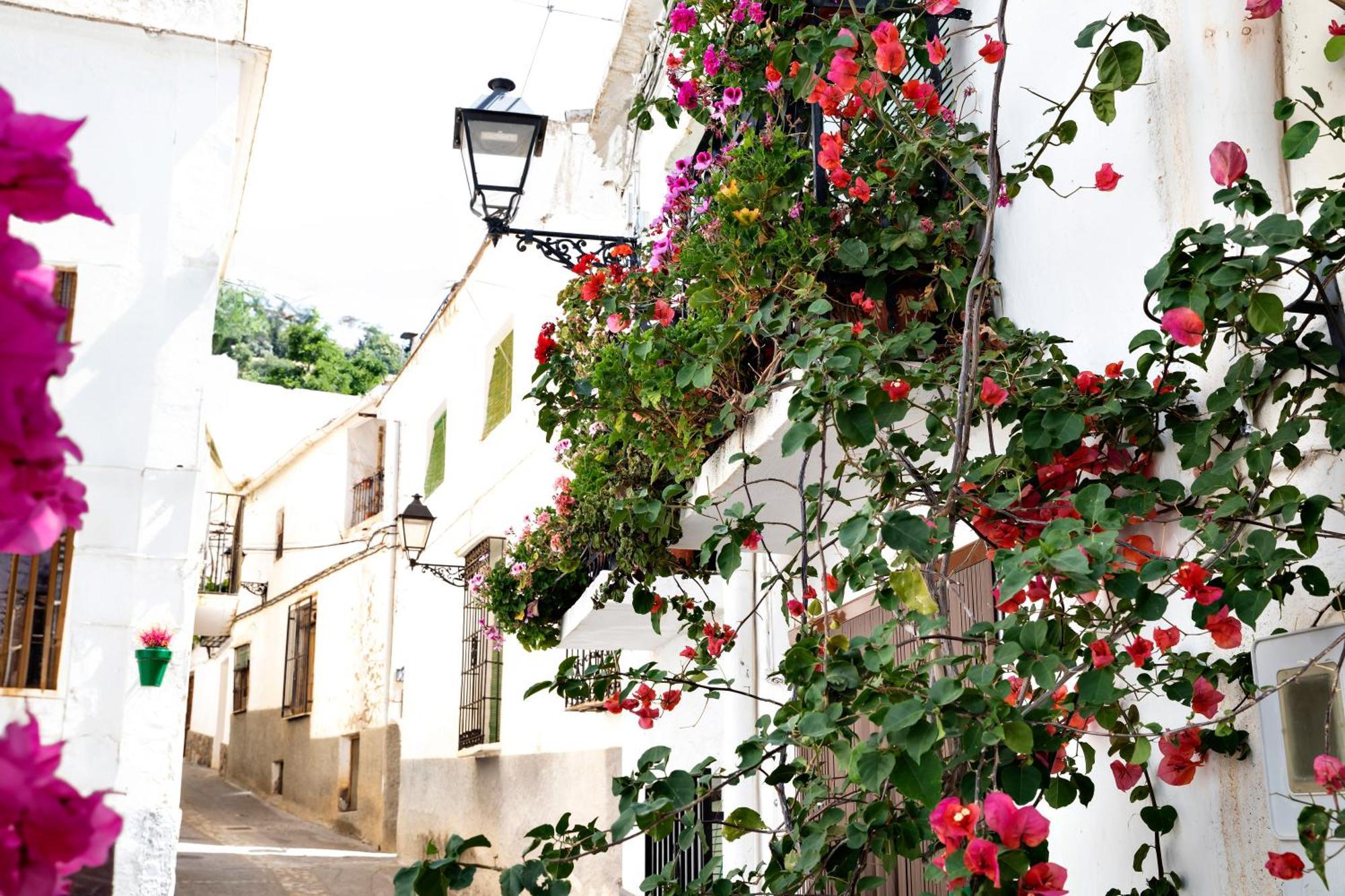 Alpujarra Relax Carataunas Dış mekan fotoğraf